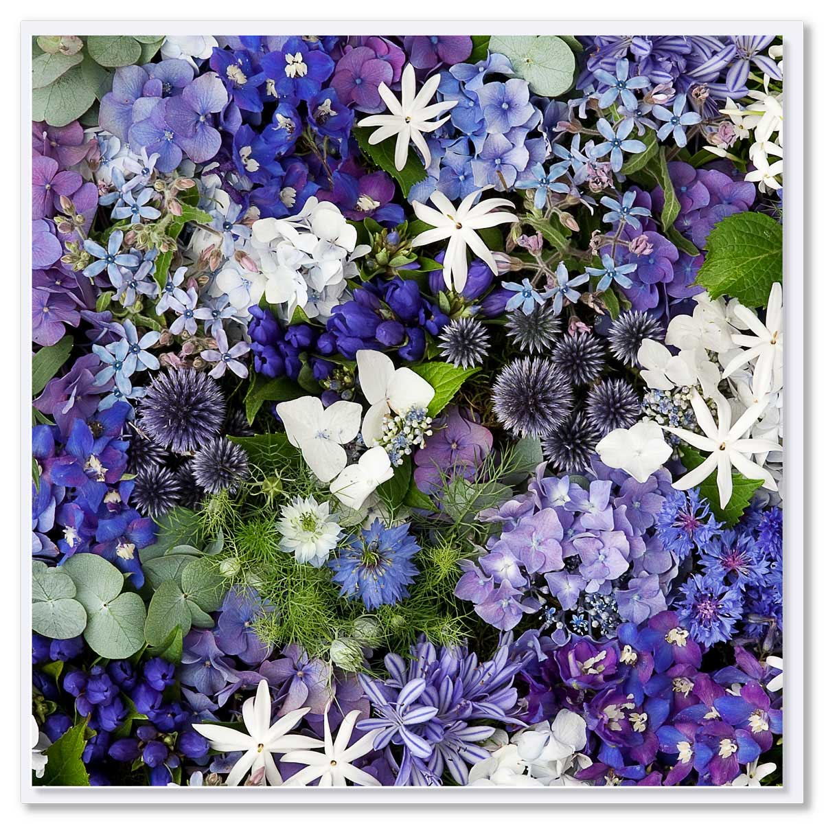 A beautiful blue and white floral arrangement with green leaves. Size 142 x 142mm. A quality greeting card found at Golly Gosh Creations.