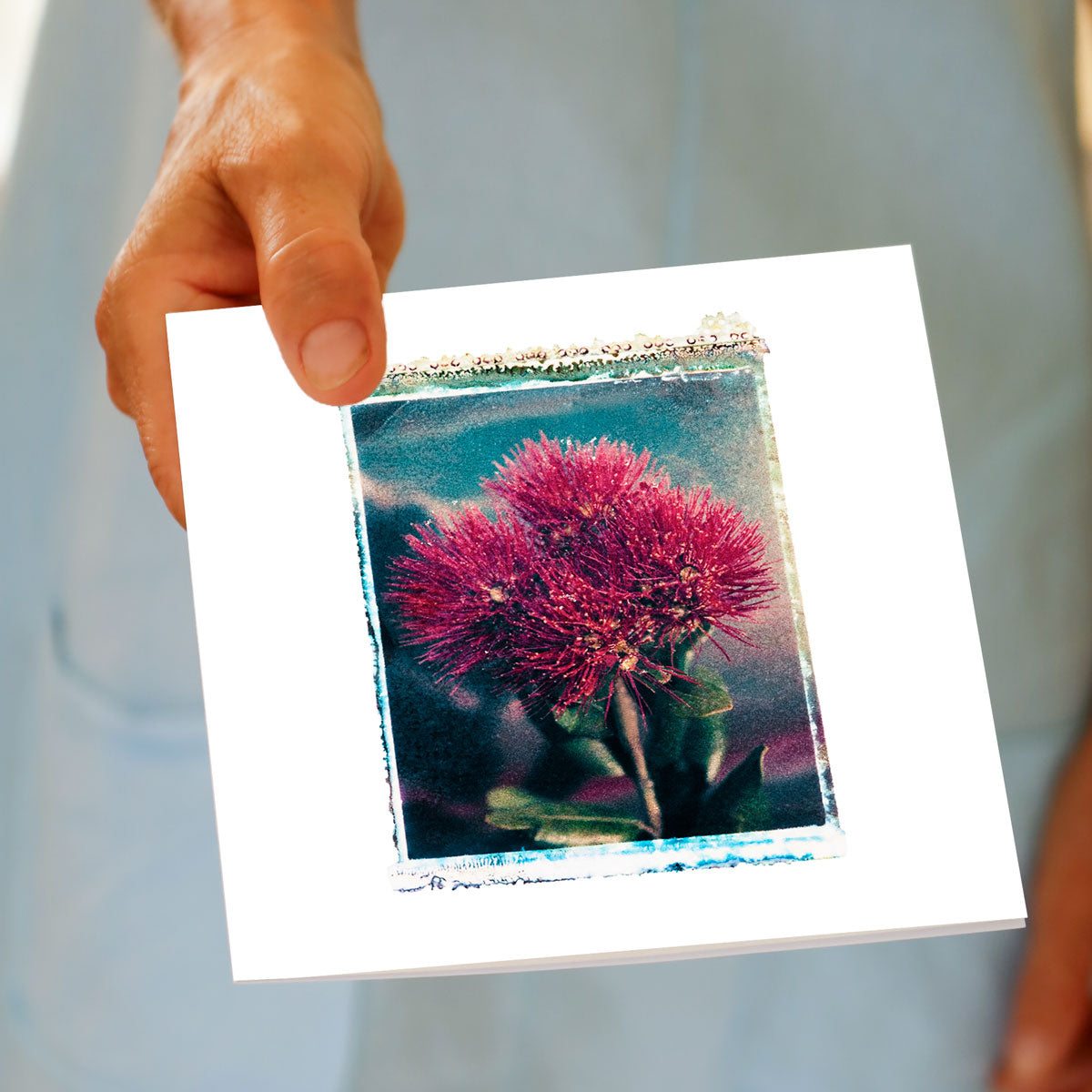 Hand displaying Pohutukawa polaroid card with vibrant pink blooms against turquoise backdrop and characteristic textured Polaroid transfer edges