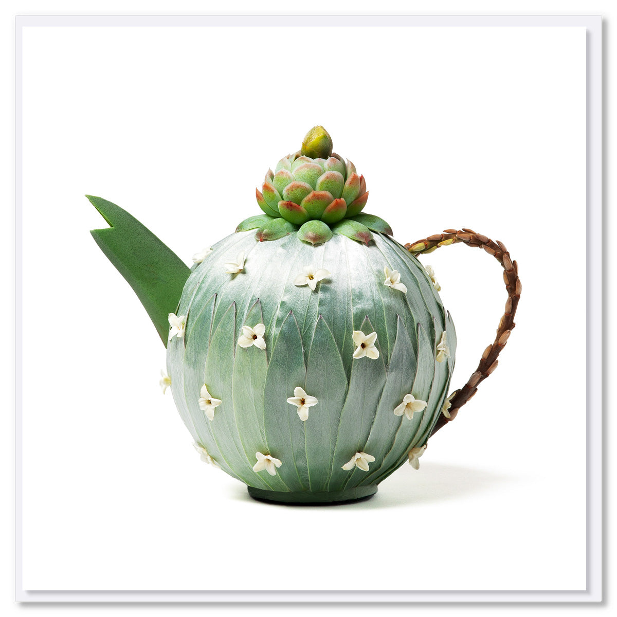 A silver leucadendron teapot greeting card created from soft leucadendron leaves. Size 142 x 142 mm. Available at Golly Gosh Creations.
