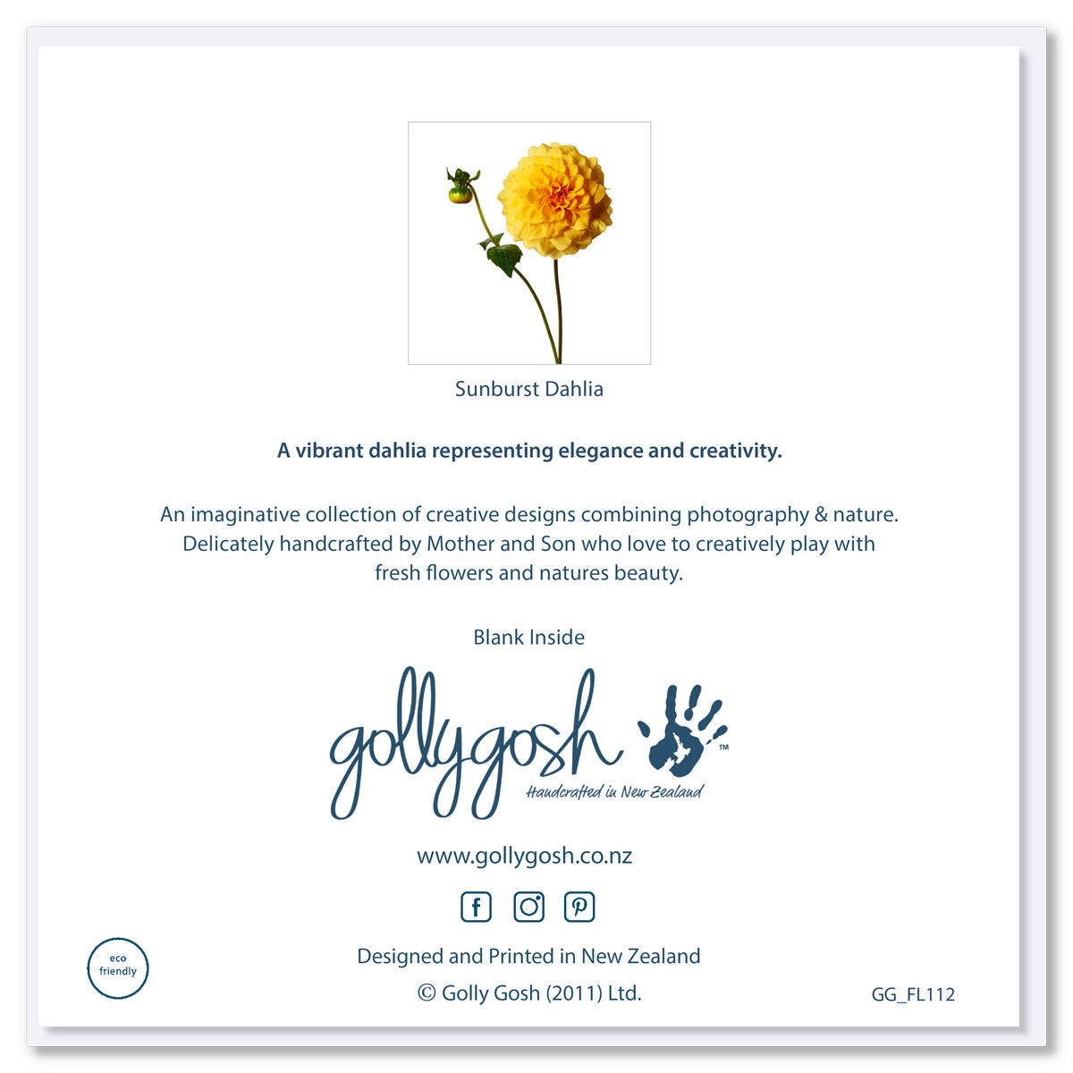 Back of a sunburst dahlia greeting card found at Golly Gosh Creations. Size 142 x 142 mm. A stunning yellow flower set on a white background