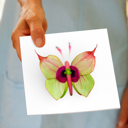 Colourful anthurium flower butterfly on a white background greeting card, being held by hand. A quality greeting card found at Golly Gosh Creations.