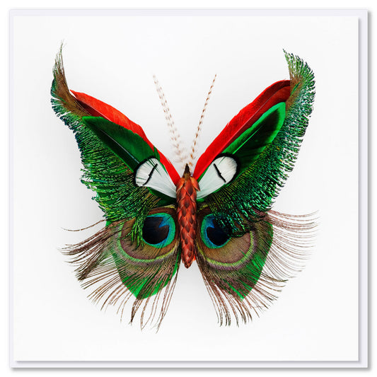 Colourful feather butterfly on a white background. Size 142 x 142mm. A quality greeting card found at Golly Gosh Creations.