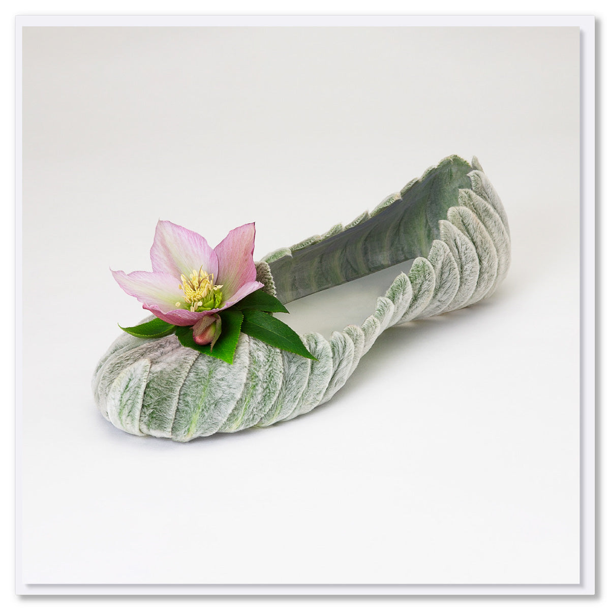 A lambs ear helleborus shoe greeting card from Golly Gosh Creations. Created from lambs ear leaves with a pretty helleborus flower. Size 142 x 142 mm.