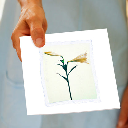 A hand held lily polaroid greeting card from Golly Gosh Creations. Size 142 x 142. Has a unique polaroid emulsion lift technique of a white lily.