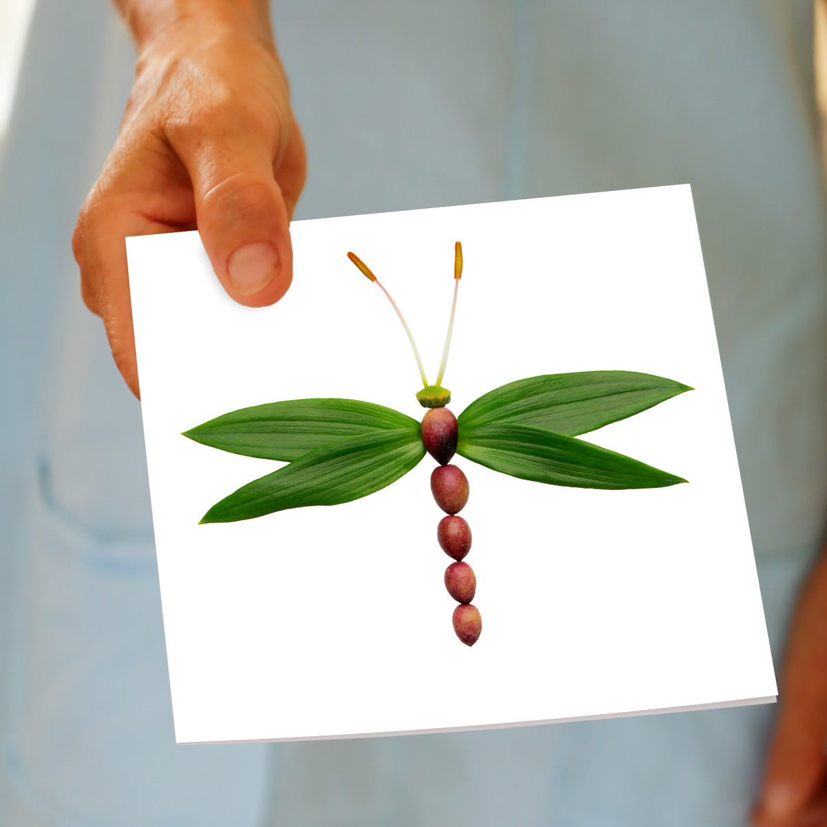 A hand held olive dragonfly greeting card from Golly Gosh Creations. A generous square card with a dragonfly made from olives and their delicate leaves.
