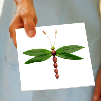 A hand held olive dragonfly greeting card from Golly Gosh Creations. A generous square card with a dragonfly made from olives and their delicate leaves.