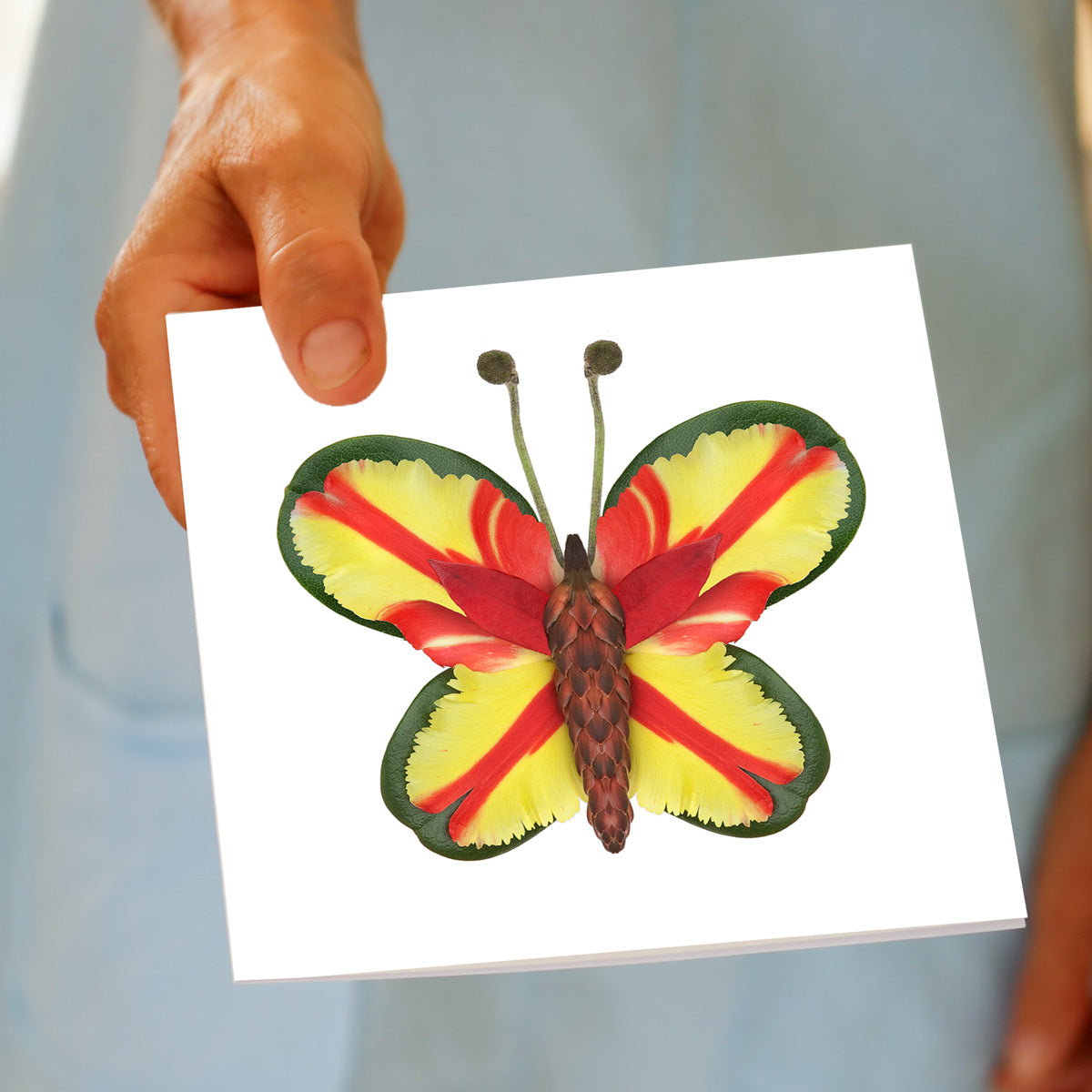 Hand displaying Parrot Tulip Butterfly card with floral butterfly featuring yellow and red petal wings bordered in green, natural textured body, and stem antennae