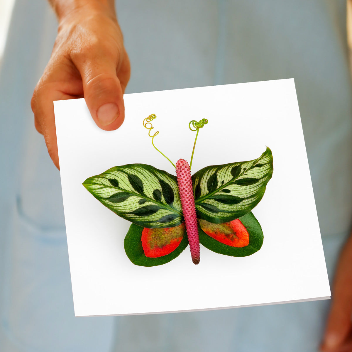 A hand held peacock leaf butterfly greeting card from Golly Gosh Creations.  Size 142 x 142 mm. This card was created  from symmetrical peacock leaves.