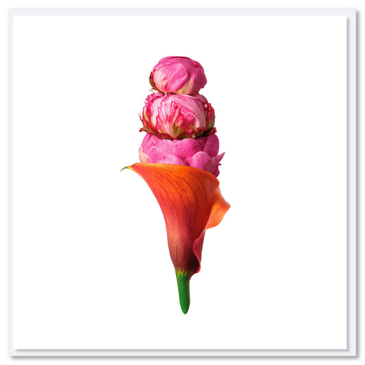 A peony ice cream greeting card from Golly Gosh Creations. Size 142 x 142 mm. Created from lush pink peony heads with an orange lily cone.