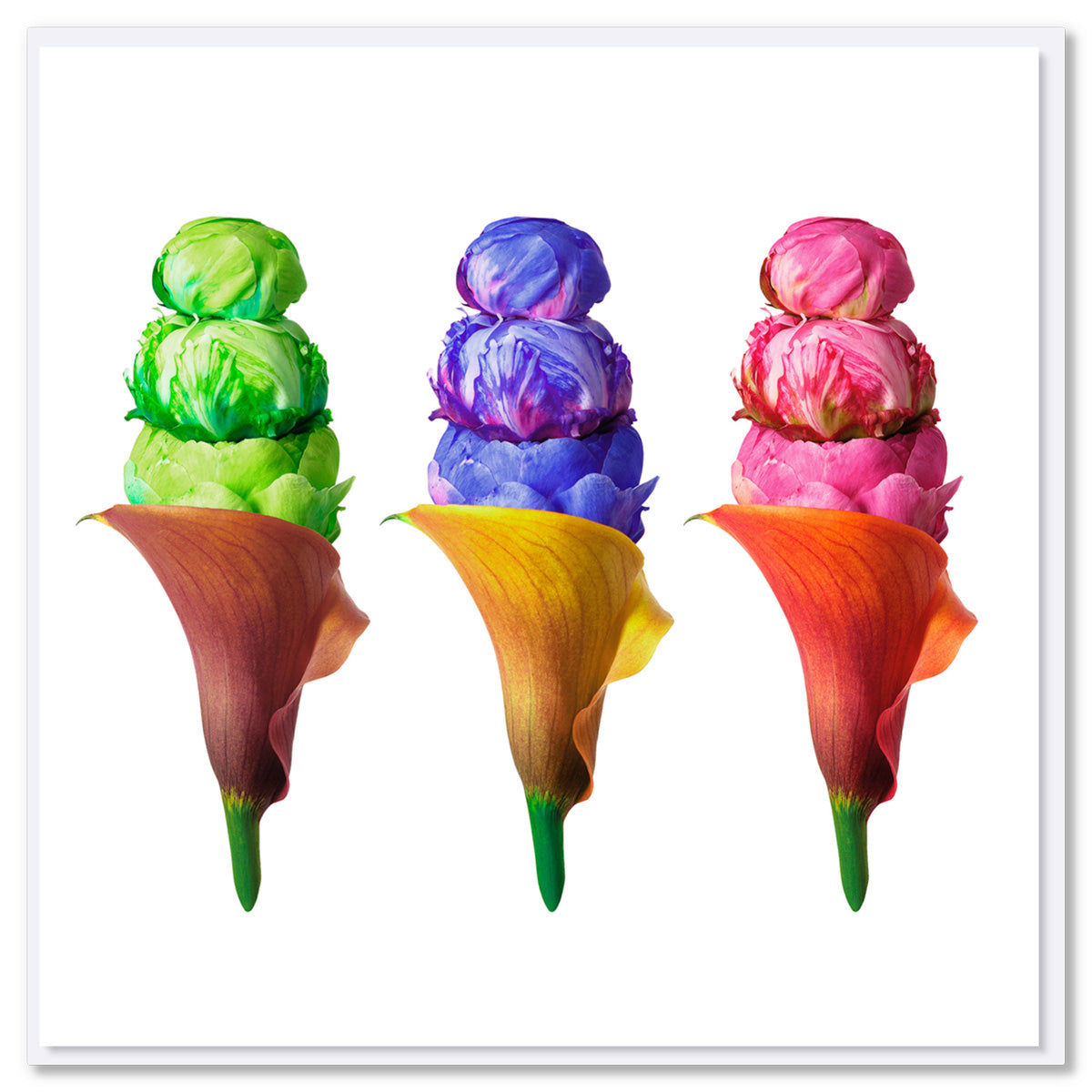 Three decorative floral ice cream designs featuring stacked peony blooms as colourful scoops in vibrant green, purple-blue, and pink, each nestled in gradient-coloured calla lily flower cones against white background