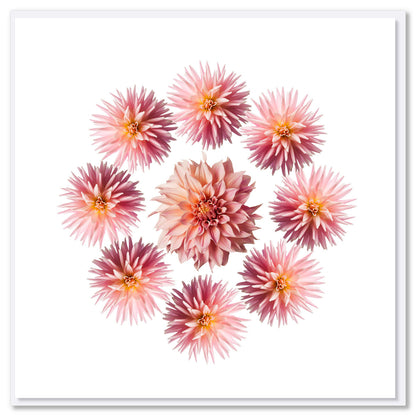 A pink dahlia circle greeting card from Golly Gosh Creations. Size 142 x 142 mm. This pretty card has a circle of breathtaking soft pink dahlias.