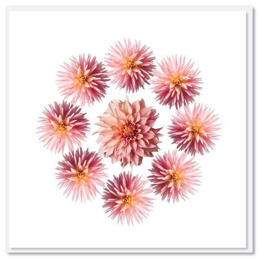 A pink dahlia circle greeting card from Golly Gosh Creations. Size 142 x 142 mm. This pretty card has a circle of breathtaking soft pink dahlias.