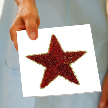 A hand held pohutukawa star greeting card from Golly Gosh Creations. Crafted from vibrant flowers of the iconic New Zealand tree. Size 142 x 142 mm.