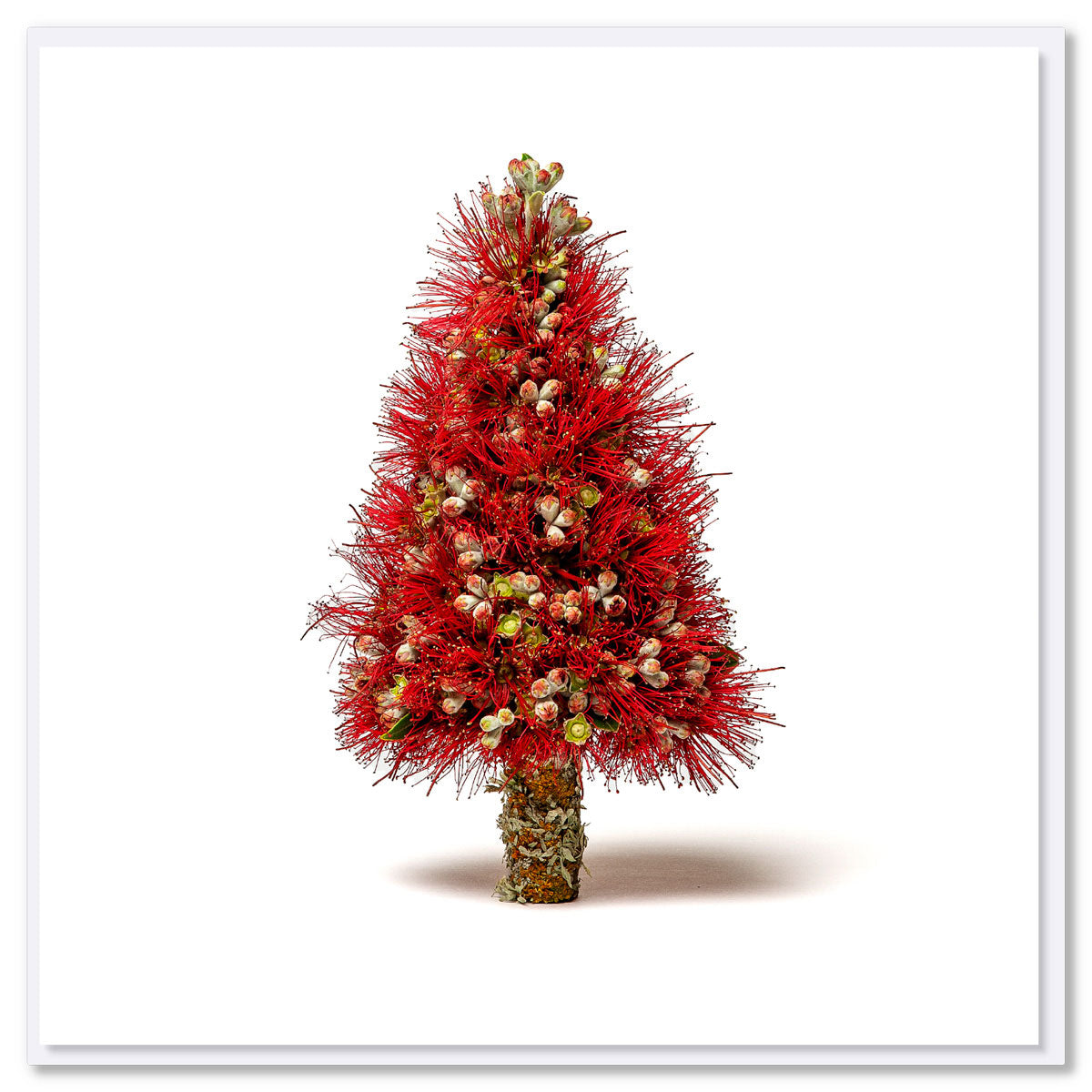 An iconic pohutukawa Christmas tree greeting card. Delicately handcrafted from fresh blooms sitting on a white background. A quality square card found at Golly Gosh Creations.