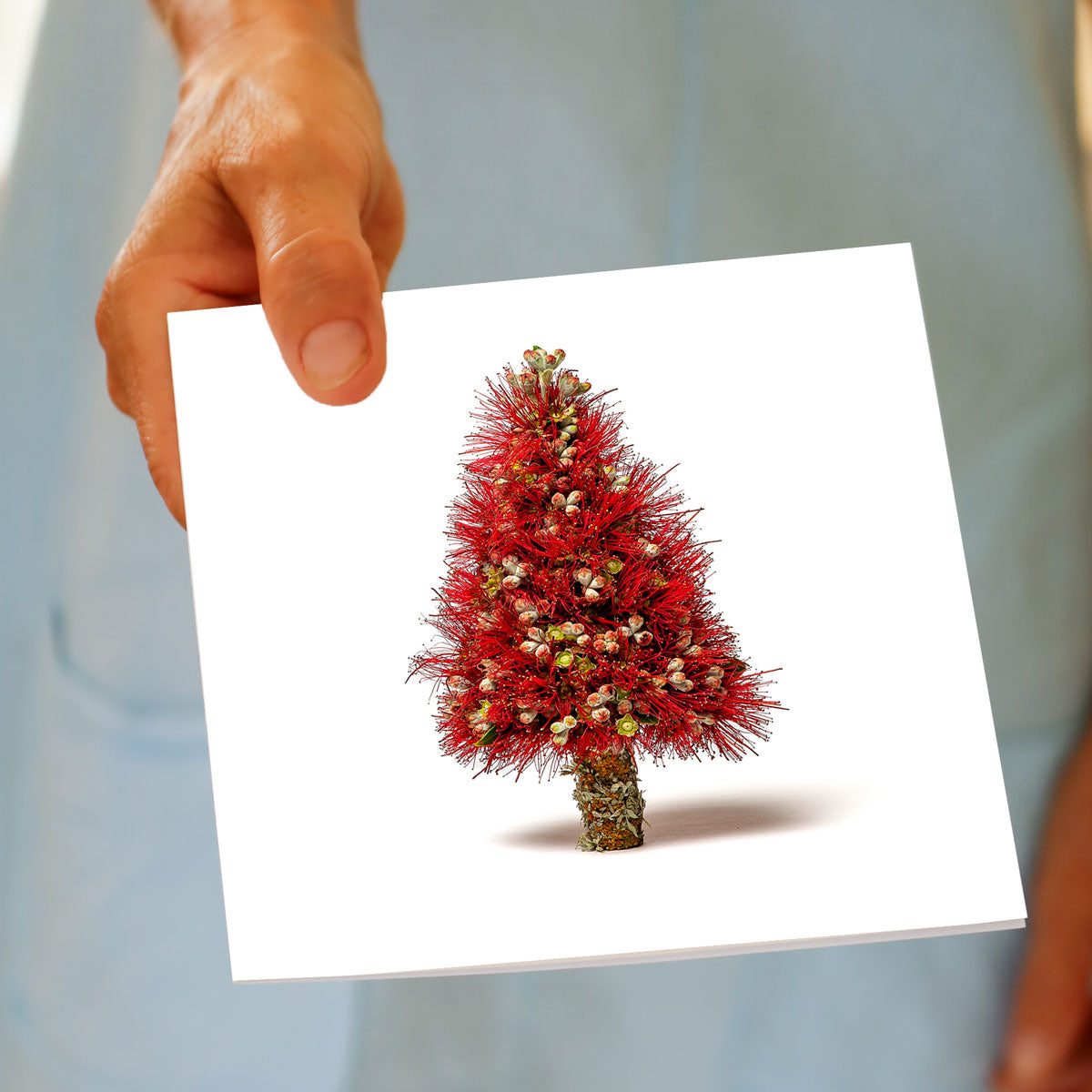 Hand holding the Christmas Pohutukawa Tree greeting card, showing the pohutukawa tree design