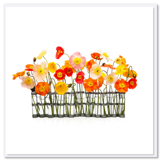 A poppies vases greeting card from Golly Gosh Creations. Size 142 x 142 mm. A colourful arrangement of wild poppies displayed in a quirky glass jug.
