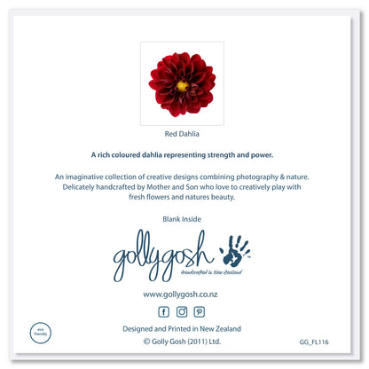 Back cover of a red dahlia flower form Golly Gosh Creations. Size 142 x 142 mm. An alluring deep red flower on a white background.