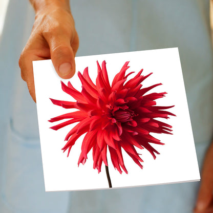A hand held red star dahlia flower greeting card from Golly Gosh Creations. This generous square striking card, is set on a white background.
