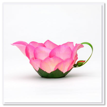 A rose petal jug from golly Gosh Creations. This generous square card is created from vibrant pink rose petals, it's lush green leaves and a dainty bud.