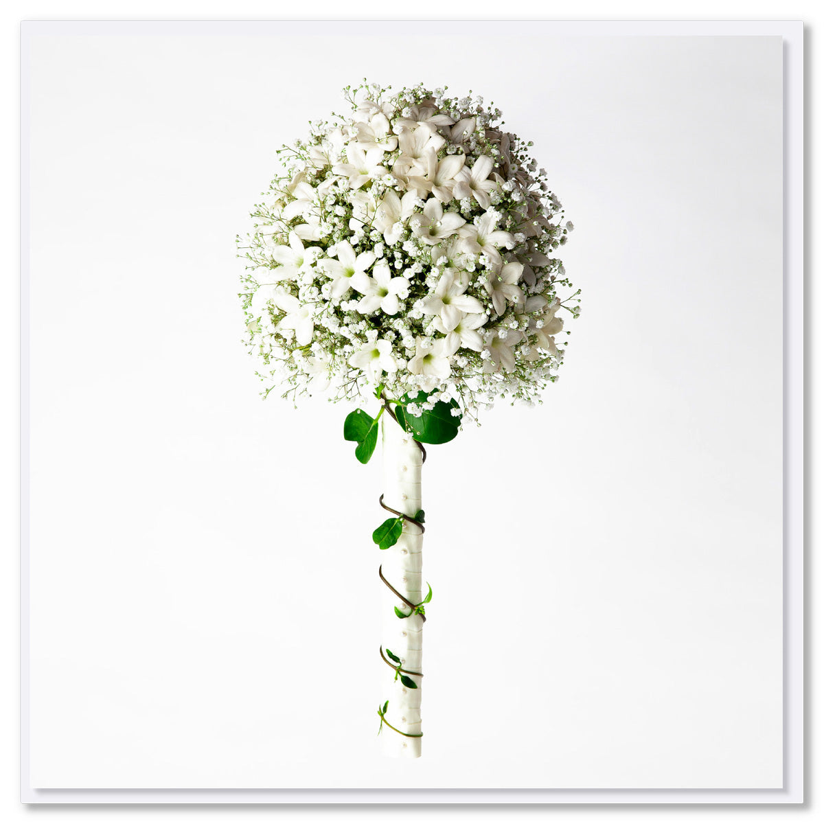 An elegant stephanotis and gypsophila bouquet. Size 142 x 142 mm. A stunning arrangement on a white background.
