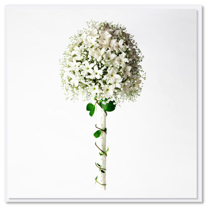 An elegant stephanotis and gypsophila bouquet. Size 142 x 142 mm. A stunning arrangement on a white background.