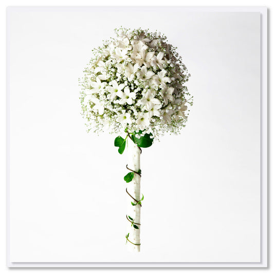 An elegant stephanotis and gypsophila bouquet. Size 142 x 142 mm. A stunning arrangement on a white background.