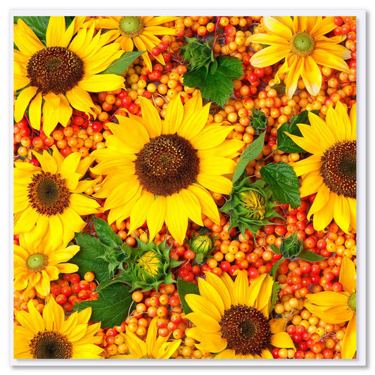 A sunflowers greeting card from Golly Gosh Creations. A delightful arrangement of bright sunflowers, buds and leaves. Size 142 x 142 mm.