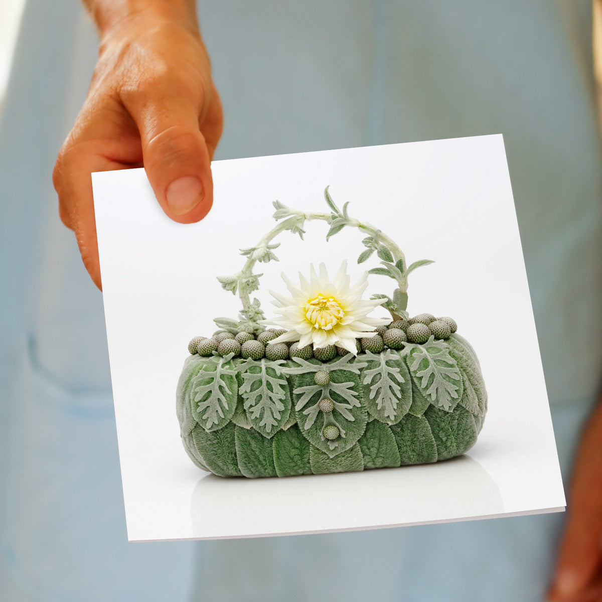 A hand held dahlia bag card by Golly Gosh Creations. A generous square card created from a beautiful white dahlia bloom and velvety lambs ear petals. 